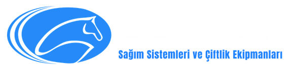 Setuay